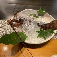 喜扇亭 名古屋ミッドランドスクエア店 - 