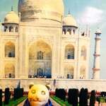 インド料理 インディアンハット - 