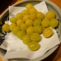 魚竹 - 