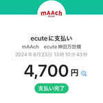 RESTAURANT PLATINUM FISH - 