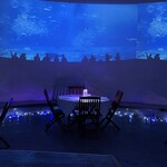 BAR WANKARA - 大画面に泳ぐ魚たち