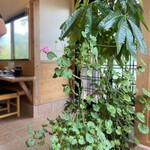 手作りめん処 生房 - 