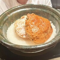緒乃 - 