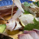 シーサイド　うわかい - 自分が釣ったイトヨリもお刺身にしてくれました