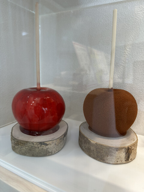 +Apple Yagotohon Ten photo 2