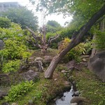 いも膳 - このいも膳さんの庭園には、毎年６月の初め頃にはこの辺りにホタルが飛んでいるんです。❤今年は、ホタルちゃん達は私達を待っていてくれなくて、残念でした。(¯―¯٥)