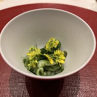 霜止出苗 - 