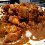 カレーとハンバーグの店 バーグ - からあげカレー