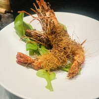 クインチチェントラーレ - 