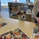 越前がに やまに水産 - 