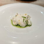 セルサルサーレ - 