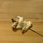 鳥megu - なんこつ