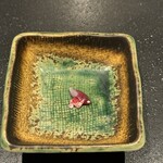 252071310 - 