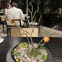 イノベーティブ フレンチ ワタハン - 