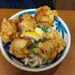 讃松庵 - 鶏天ぶっかけ（冷・小）