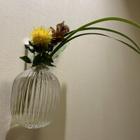 中国料理 礼華 四君子草 - 