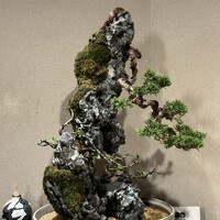 お燗酒と焼き鳥 傳鳥 - 