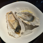 ビアザウルス - 