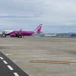 MOLINO - 関空からピーチで鹿児島に