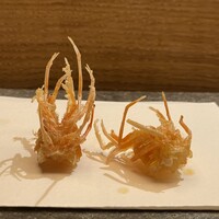 天 よこた - 