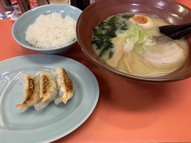 本日1/27 午前中採取 岩手県 岩泉産 天然 ふきのとう 3kg 春の 本日1/27 午前中採取 岩手県 岩泉産 天然 ふきのとう 3kg 春の