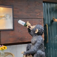Katsuya charcoal grill steakhouse - 