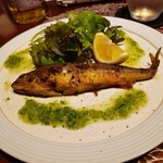 バー ダブル スチル - 