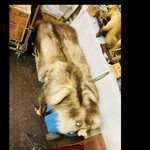 菜食健美 里味 - トナカイではなくカモシカの毛皮です　byまみこまみこ