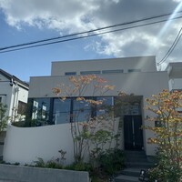 オープチデリス - 