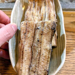 かぶと - おまかせ