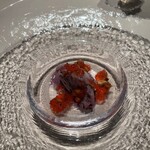 フォリオリーナ・デッラ・ポルタ・フォルトゥーナ - 