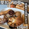 ESPRIT