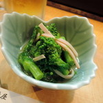 美尋 - 2014.3菜の花からしあえ