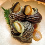 美尋 - 2014.3さざえ