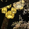 京町恋しぐれ 新宿 本館