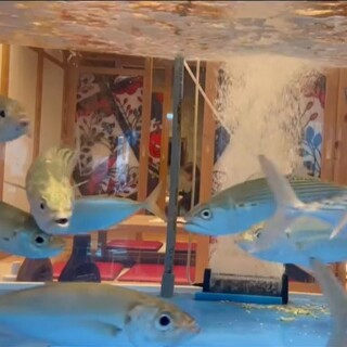 鰓呼吸名護店のおすすめポイント2漁港から届く新鮮な魚介！