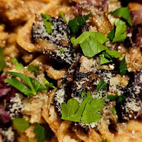 biodinamico - 