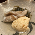 髙橋 謙太郎 - 岩もずく　たい　タイの子