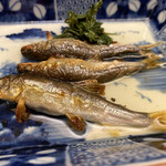 髙橋 謙太郎 - 稚鮎　新茶