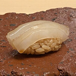 髙橋 謙太郎 - アオリイカ