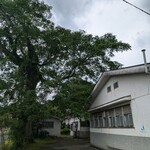 パンドーゾカフェ - 