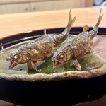 252180208 - 鮎