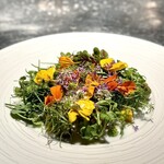 アルギュロス - 