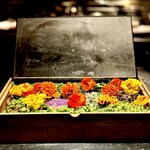 アルギュロス - 