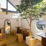 雲ノ茶カフェ - 