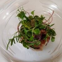 マダム・トキ - 