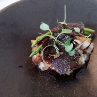 マダム・トキ - 