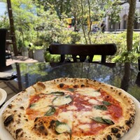 カレス -  カレス -