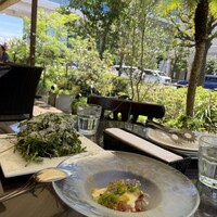 カレス -  カレス -