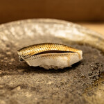 志げる鮨 - 小肌